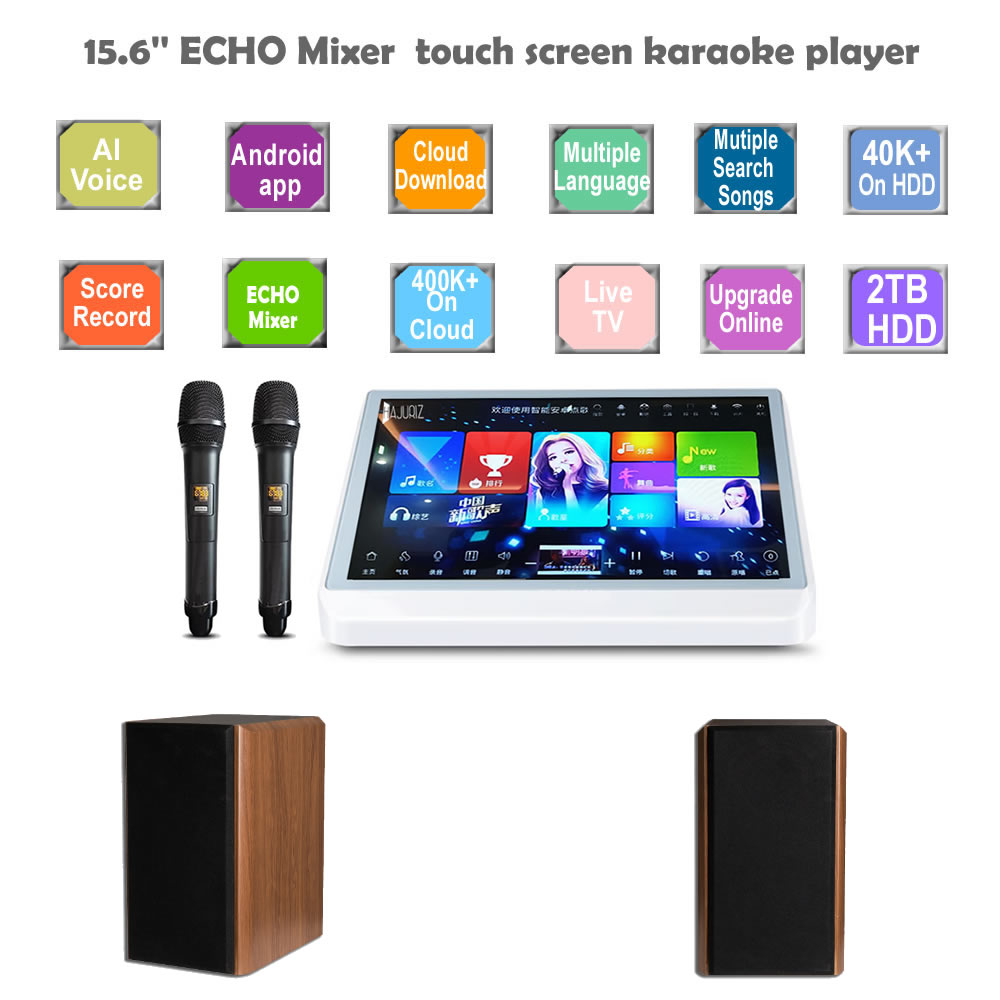 karaoke system,15.6'' All in one Touch screen karaoke machine +Music speaker+Wireless microphone,2TB HDD With 40K Chinese,English songs,400K Multi-Language songs on cloud